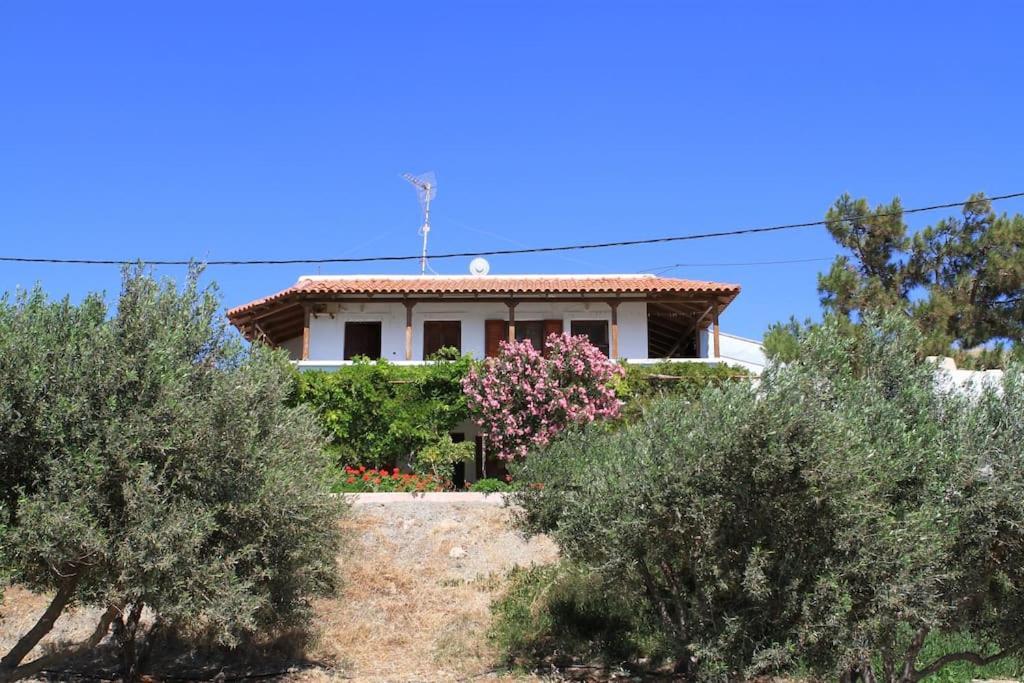 Traditional Olive House Макригиалос Экстерьер фото