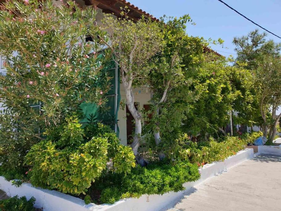 Traditional Olive House Макригиалос Экстерьер фото